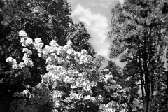 IMG_2289